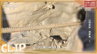 在滩涂上抓海蜈蚣 又细又长好大一条《味道》20220108 | 美食中国 Tasty China