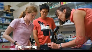 Cornell Engineering Information Session Part 3: Engineering Faculty