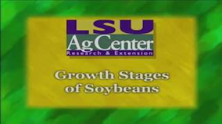 Growth Stages of Soybeans (2011)