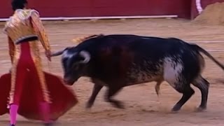 Raw: Spanish Matador Fatally Gored By Bull