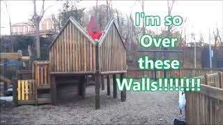 Over These Walls - Free Run/Parkour