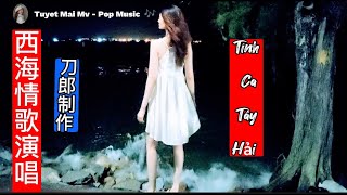 西海情歌演唱：刀郎制作：Tình Ca Tây Hải / Model : Tuyet Mai @tuyetmaifit @tuyetmai99