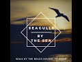 seagulls by the sea