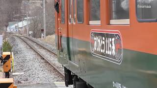 115系最終運行日 大前駅にて 20180316