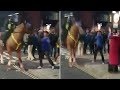 Football fan 'throws punch' at police horse