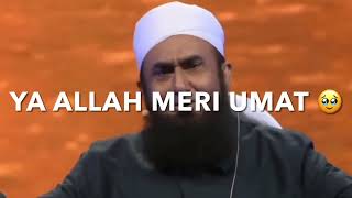 YA ALLAH MERI UMMAT 😭 | molana tariq jameel | emotional bayan hamo official | WhatsApp status