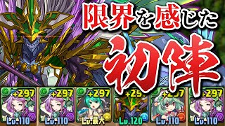 【樹海編】虹メダルチャレンジに当時の編成で挑む【パズドラ】