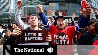 Exploring Jurassic Park, Raptors' raucous outdoor viewing party