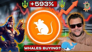 Rats Ordinals Review: Is Rats Coin The New Crypto Fueled by Whales?