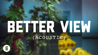 Better View (Acoustic) | Official Lyric Video | Switch