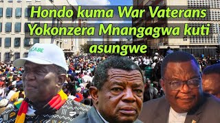 Hondo Yotanga Manje - Cephas Ncube Mujibha Okonzeresa kuti ED asungwe🇿🇼