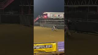 Ran a 16.6  at the IFYR rodeo last week #barrelracing #shorts#rodeo #viral#fypシ゚viral #horse#littleg