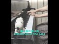 遠い海の思い出 memories of the sea 　piano演奏