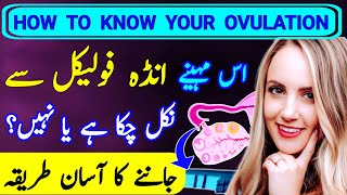 Know Your Fertile Days And Get Pregnant Fast |How To Know Egg is Released From Follicle |Ovulation