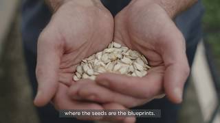 seed to sweetgreen — Dan Barber x sweetgreen x Row 7 Seed Co.