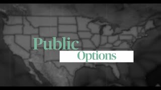 What are Public Options?