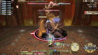 FF14 GRANSEEDS 討伐・討滅戦：LV60 極女神ソフィア討滅戦４