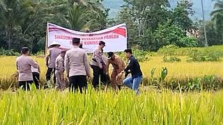 KUNJUNGAN KAPOLRES KUNINGAN DALAM RANGKA PANEN RAYA/ DESA CIPONDOK KEC. KADUGEDE