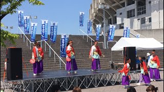 丸亀ごんな連  2018