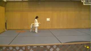 ドッグダンス Canine Freestyle Borzoi ORPHEE 10-2012