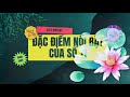 Đặc điểm nổi bật của số chủ đạo 11 coaching thần số học và chữa lành 1 1