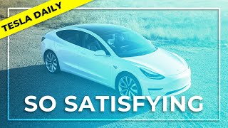 Incredible Tesla Satisfaction Results, Tesla Service Expansion, New Interior Monitoring System