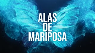 Alas de mariposa | Películas Completas en Español Latino