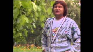 Saban Saulic - Voleo sam samo tebe - (Official Video 1989)