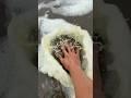 Extremely Satisfying Stomping on Sea Foam ASMR #shorts