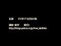 カワセミの漁場にはどんな魚がいるのか？2016