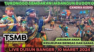 KESURUPAN GANAS‼️TURONGGO SEMBRANI MBANGUN BUDOYO (TSMB) TASKUMBANG LIVE DUSUN BANGER, 10 MARET 2024