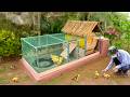 Recycle PVC and old barrel into cozy duck house with pool