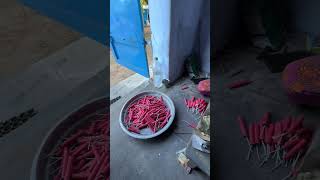 How Crackers is Made😍🔥 #crackers #cheapestcrackers #crackersshopinsivakasi