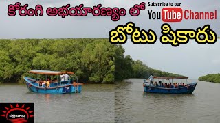 కోరంగి మడ అడవుల్లో బోటు షికారు ||Boating in korangi mada forest