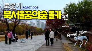 로봇개 몰래카메라 -  북서울꿈의숲 편 Prank Video(South Korea) #prankvideo #robotdog #로봇개