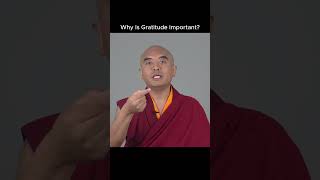 Why Is Gratitude Important? with Yongey Mingyur Rinpoche / Part 9