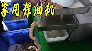 了不起的家用榨油機！現炒現榨還帶真空過濾，1斤油料能榨出4兩油【發明迷】