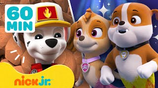 PAW Patrol | Land- \u0026 zeereddingen! Met Zuma, Chase \u0026 Tracker | Compilatie van 60 minuten | Nick Jr.