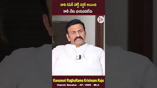 నాకు ఓపెన్ హార్ట్ సర్జరీ అయింది కానీ నేను భయపడలేదు | Raghu Rama Krishnam Raju About His Health #ytt