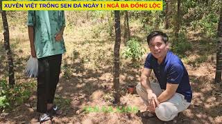 Ngày 1 trồng Sen Đá ở Ngã Ba Đồng Lộc