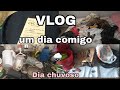 VLOG : um dia comigo | limpeza| organização | resolvendo pepino !