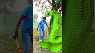 Anaconda snake in real life P19#shorts #short #snake #nagin #python #anaconda #snakes #bigsnake