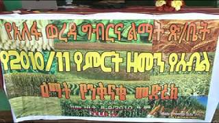 የ2010/2011 ዓ/ም  ምርትን  ለማሳደግ  ለቀበሌ አመራርና ለቀበሌ ሙያተኞች   ስልጠና ሲሰጥ