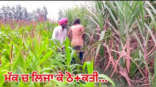 ਮੱਕ ਚ ਲਿਜਾ ਕੇ ਠੋ+ਕਤੀ New PUNJABI SHORT MOVIE 2025 | NEW PUNJABI Short FILM