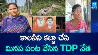 TDP Leader Hari Babu Occupied Jagananna Colony \u0026 Planted Crop | Chandrababu Goons | @SakshiTV