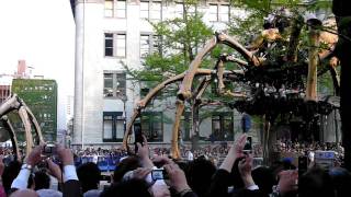 ラ・マシンの巨大クモ！＠横浜Y150　la machine giant spider Yokohama Japan