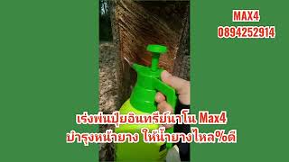 ไฟไหม้สวนยางแก้ไข​ฟื้นฟู​ได้​ ด้วยขั้นตอนของปุ๋ยอินทรีย์ ​Max4​ สามสหาย