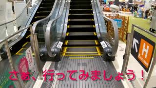 【三菱製】イオンモール今治新都市 上りエスカレーター