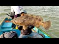 Crazy fishing from boat , Big groupers , GT trevallies fish - Crazy strikes Popping trolling jigging