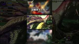 【モンスタハンターダブルクロス】これだから小型モンスターってやつは！